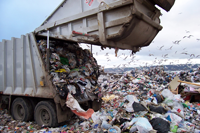 Landfill.png