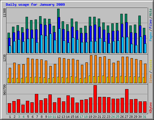 Daily usage for January 2009