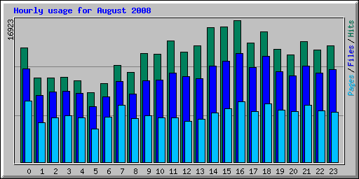 Hourly usage for August 2008