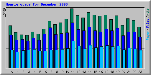 Hourly usage for December 2008