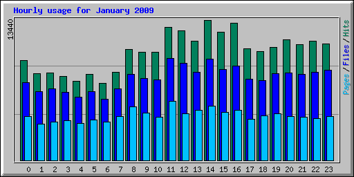 Hourly usage for January 2009